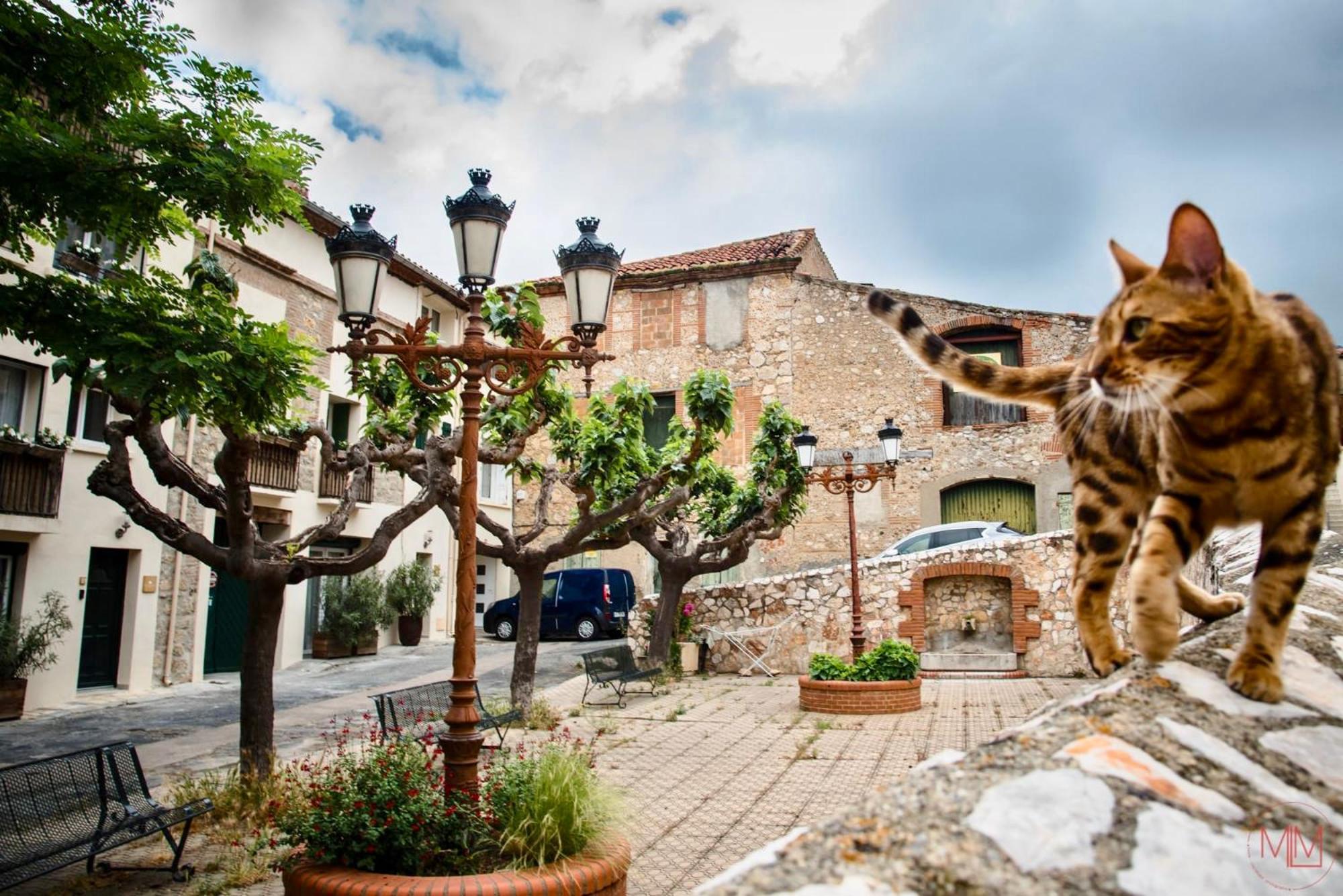 Origines Hotel Tautavel Bagian luar foto